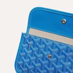 Goyard Saint Louis PM Bag Stripes and Lnitials - Image 5